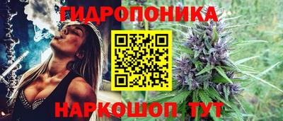 стаф Рязань