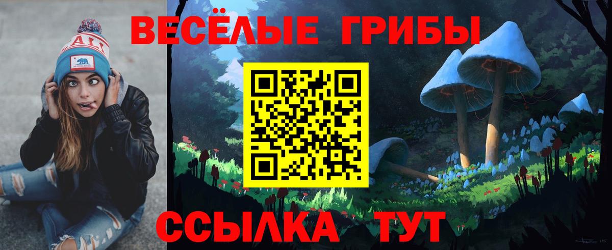 Михайловск  Галлюциногенные грибы прущие грибы  Галлюциногенные грибы GOLDEN TEACHER  Вход с VPN 