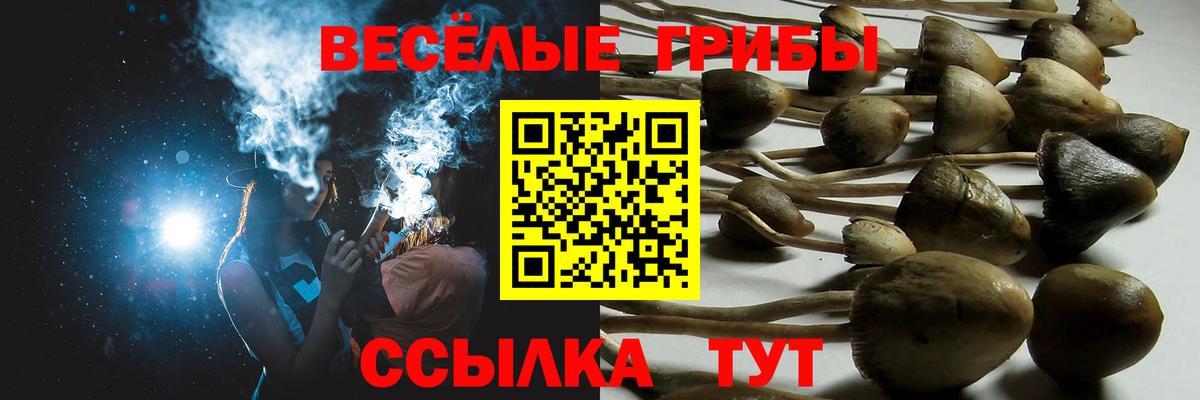 Псилоцибиновые грибы мухоморы Михайловск